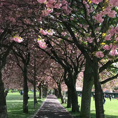 Lothian Center Edinburgh