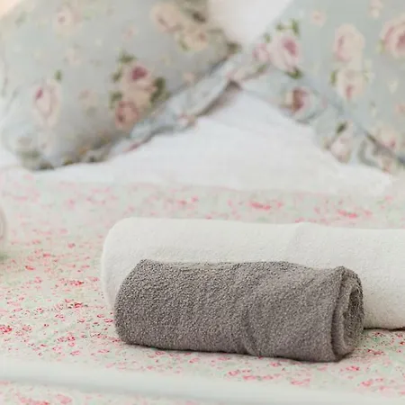 Vintage Apt, Pvt Garden, Wifi, New Town Lägenhet