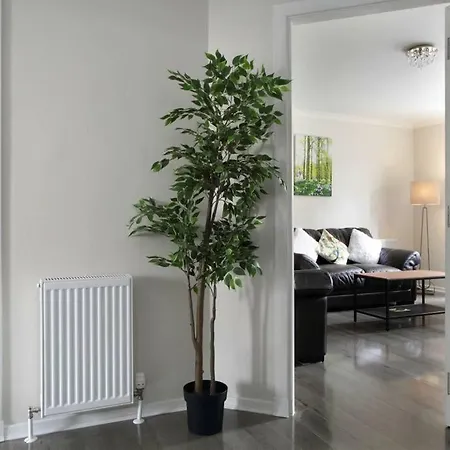 Fantastic Flat In The Vibrant Shore Area Apartment