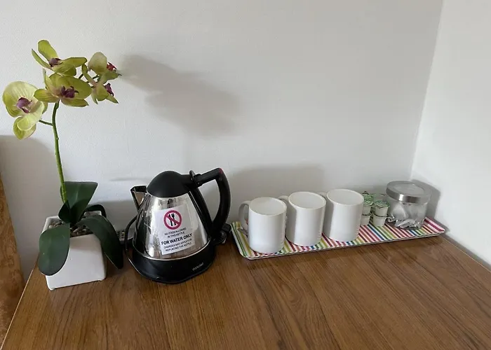 Rays بيت ضيافة *