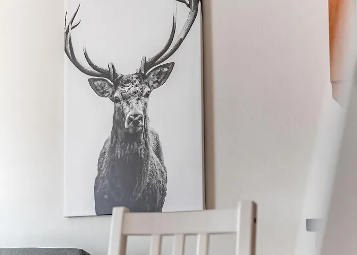 Amazing - Cables Wynd Near The Shore - Free Parking * Edinburgh