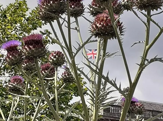 Appartement St Quarter 2 Bed *