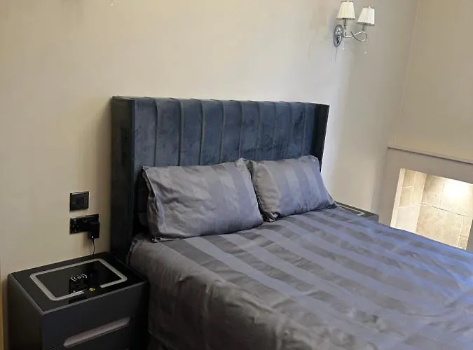 公寓式酒店 Thistle