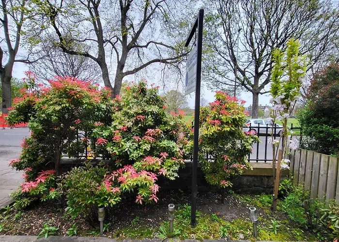 Mackenzie Эдинбург