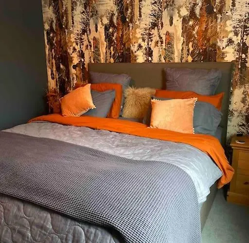 Ultra Stylish Furnished In *