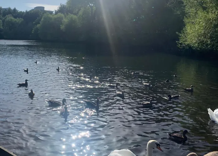 Thomahome Cosy&stylish Apartment