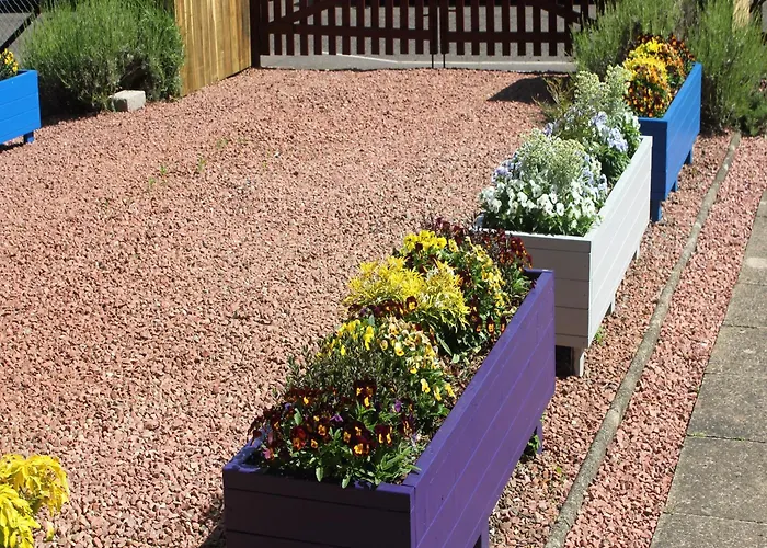 Twenty Dc אדינבורו