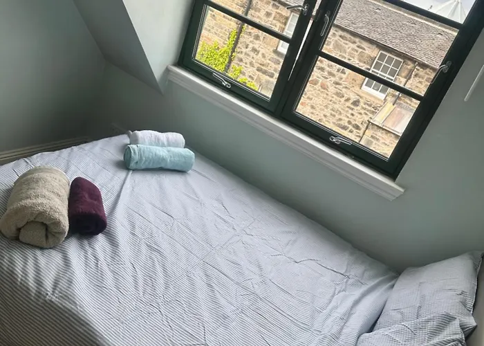 Cozy *