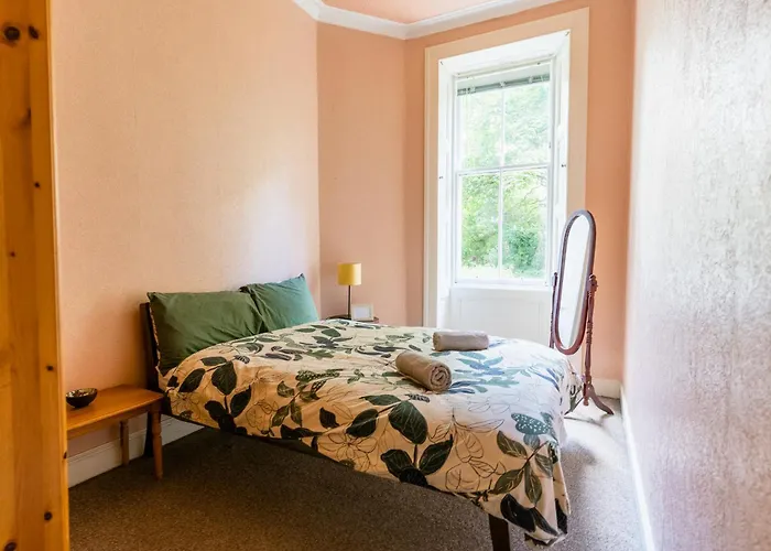 Palm Tree Apartment- Period With Cat