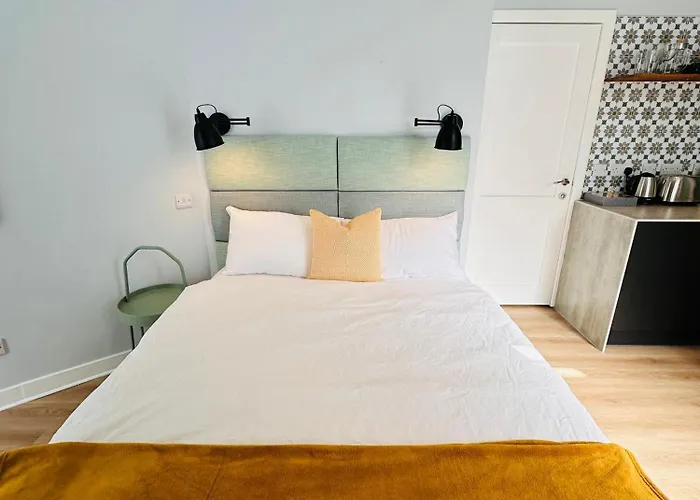 Luxury Modern L L Pet Friendly