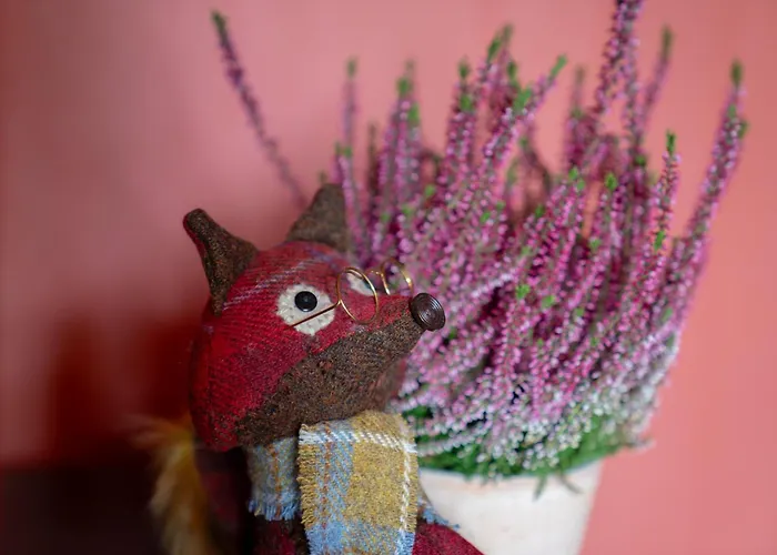 Netherbrae Δωμάτια σε οικογενειακή κατοικία *