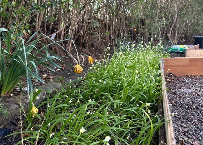 Private Main Door Two Bedrooms Διαμέρισμα