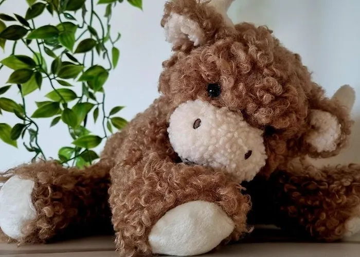 Thistle & Tide Apartment Edinburgh