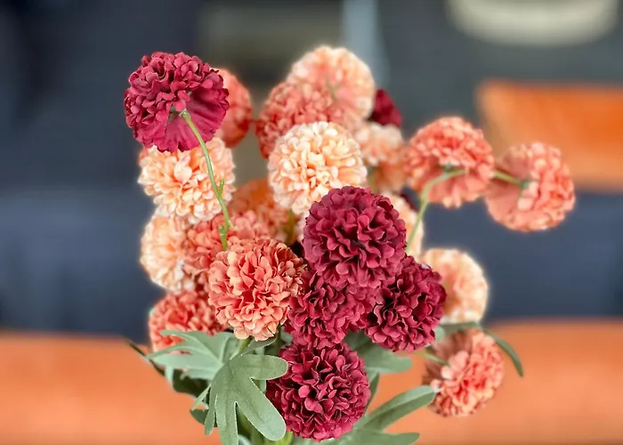 Heart Of The - 3 Bedroom Oasis * Edinburgh