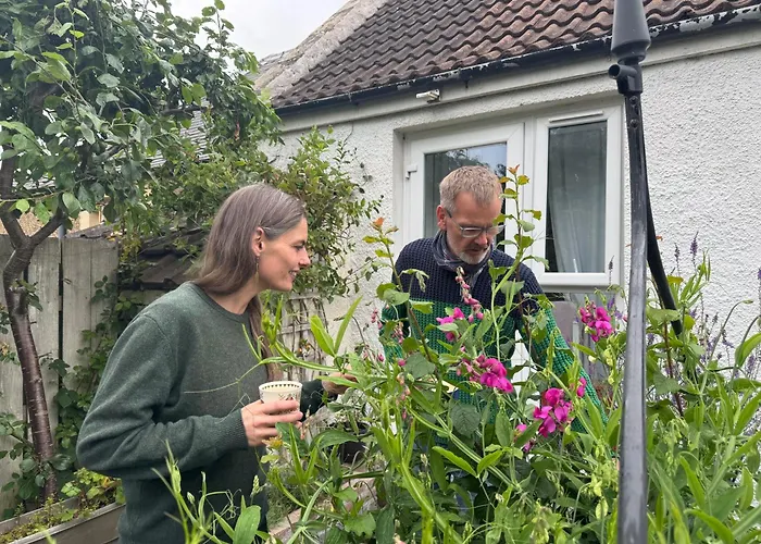 Bed and Breakfast Charming 3 Bed , Private Budget , Free Street Parking , Fibre Optic Internet , Garden *