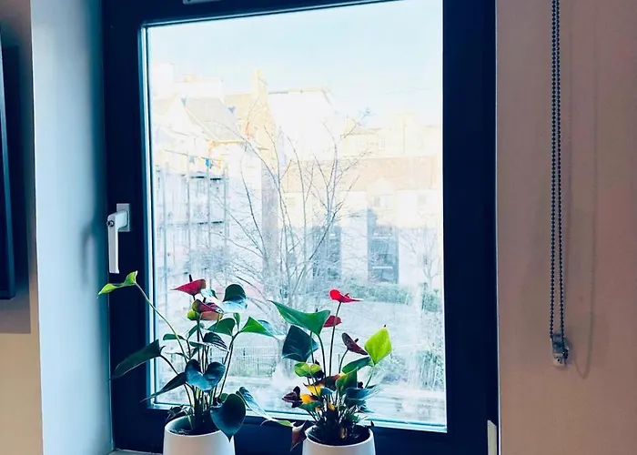 Cosy In Heart Of