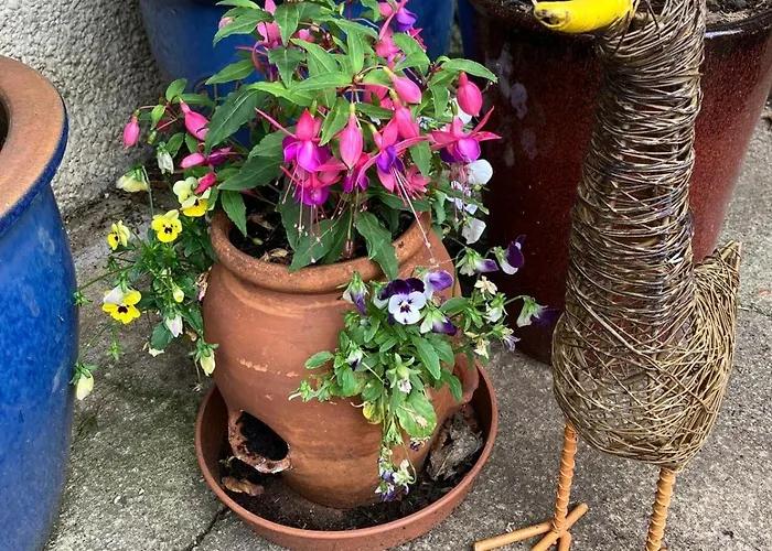 Midkinleith Farm * Edinburgh