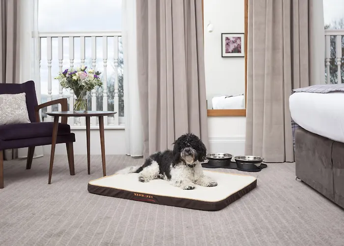 Voco - Royal Terrace By Ihg 4*