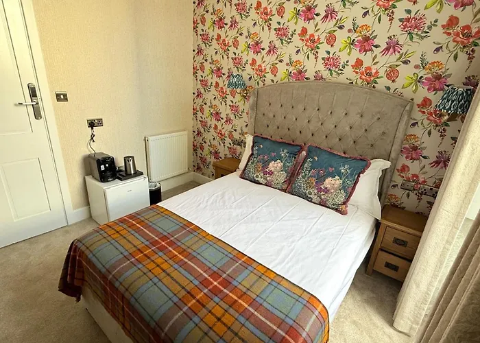 Armadillo Guest House- Adults Only Guest house