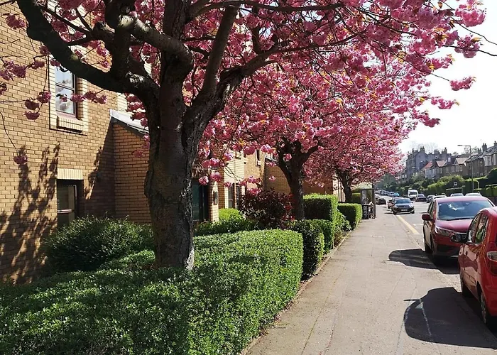 Lovely - Craighouse Gardens *