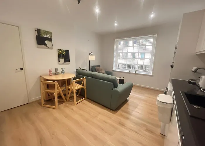 Two Cozy In A Residential * Edinburgh