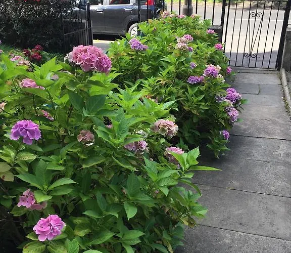 Bed & Breakfast Hermitage Edinburgh