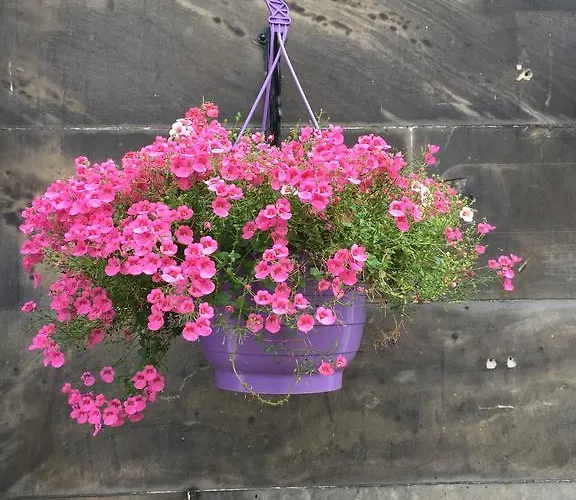 Bed & Breakfast Hermitage 3*