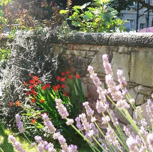 Panda Oda ve Kahvaltı 4*