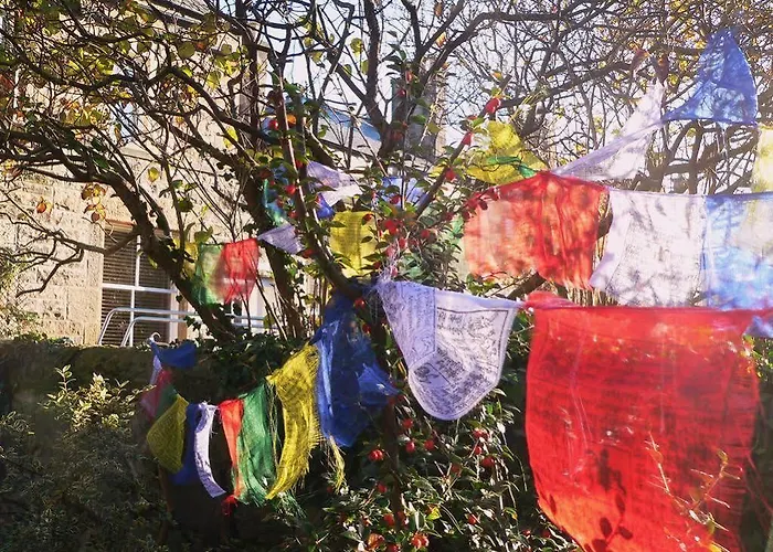 Oda ve Kahvaltı Panda 4*