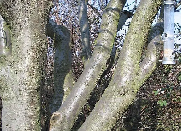 Vendégház A-haven Townhouse 3*