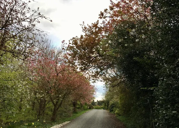 Craigs Lodges Edynburg